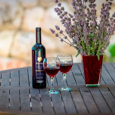 Villa Hedera Estate Hedera Xiv Mrcevo